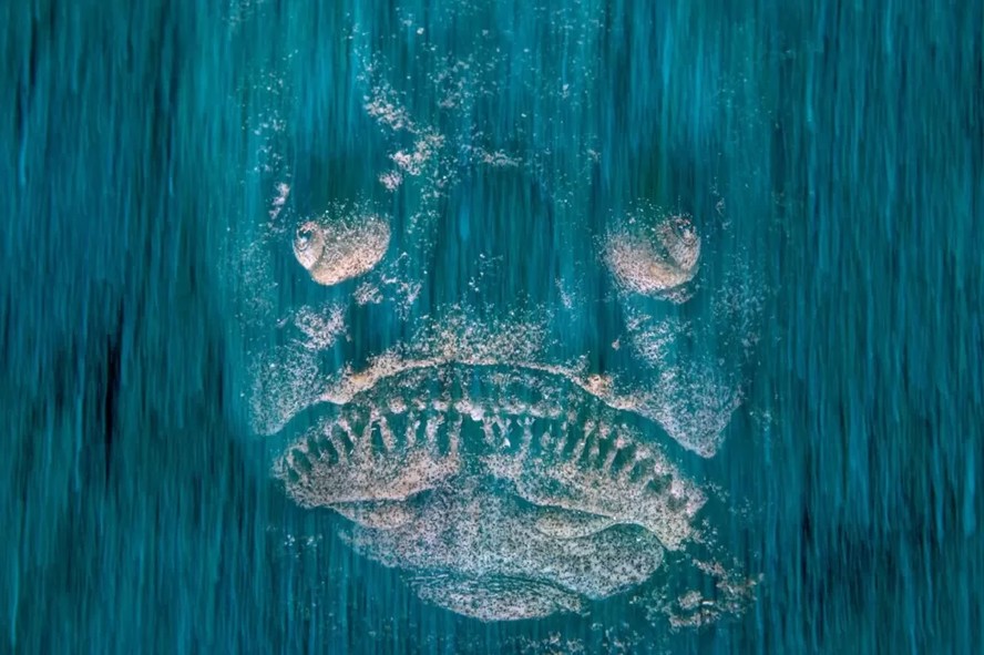 Foto vencedora de prêmio de Fotógrafo de Vida Selvagem de 2023 mostra peixe da espécie 'Uranoscopus scaber'