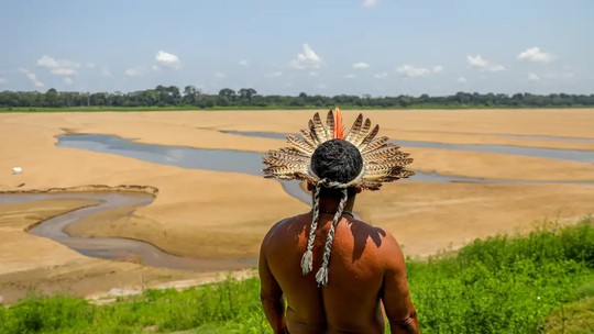 Mais de um terço da Floresta Amazônica luta para se recuperar da seca — e dá sinais de fraqueza, mostra estudo