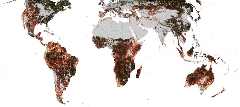 Hotspots de assincronia sazonal: cores mais claras mostram regiões onde o atividade sazonal varia muito em pequenas distâncias. — Foto: Terasaki Hart et al. / Nature