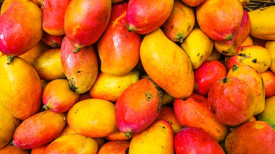 Em resposta ao calor cada vez maior, produtores na Itália plantam frutas tropicais, como a manga