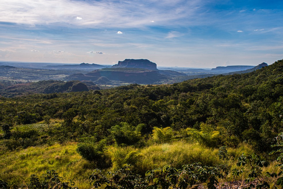 Cerrado: Serra da Petrovina, em Mato Grosso — Foto:  Lucas Ninno/ GettyImages