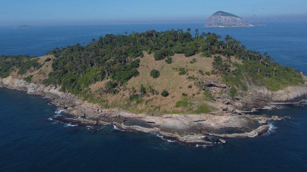 Monumento Natural (MONA) das Ilhas Cagarras visto por outro ângulo — Foto: Custódio Coimbra / O Globo 