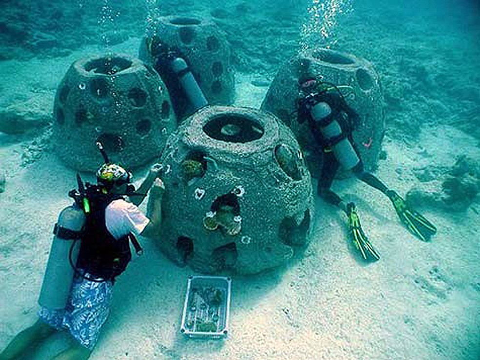 Empresa Eternal Reefs, da Flórida (EUA), implanta corais em bolas funerárias de concreto — Foto: Divulgação