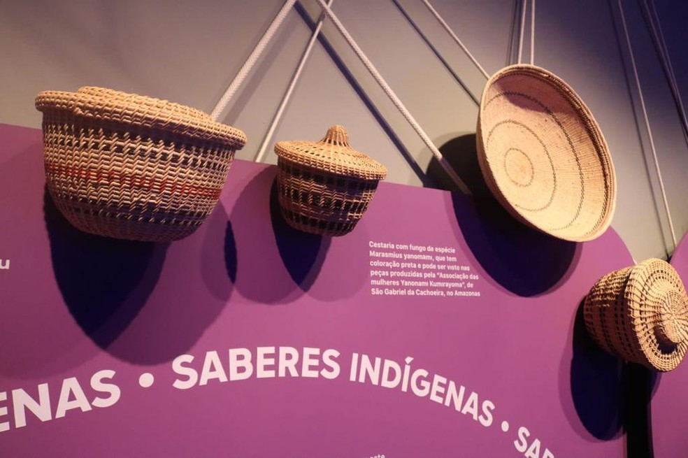 Exposição têm cestas produzidas por mulheres Yanomami utilizando fungos como uma das matérias-primas — Foto: Divulgação