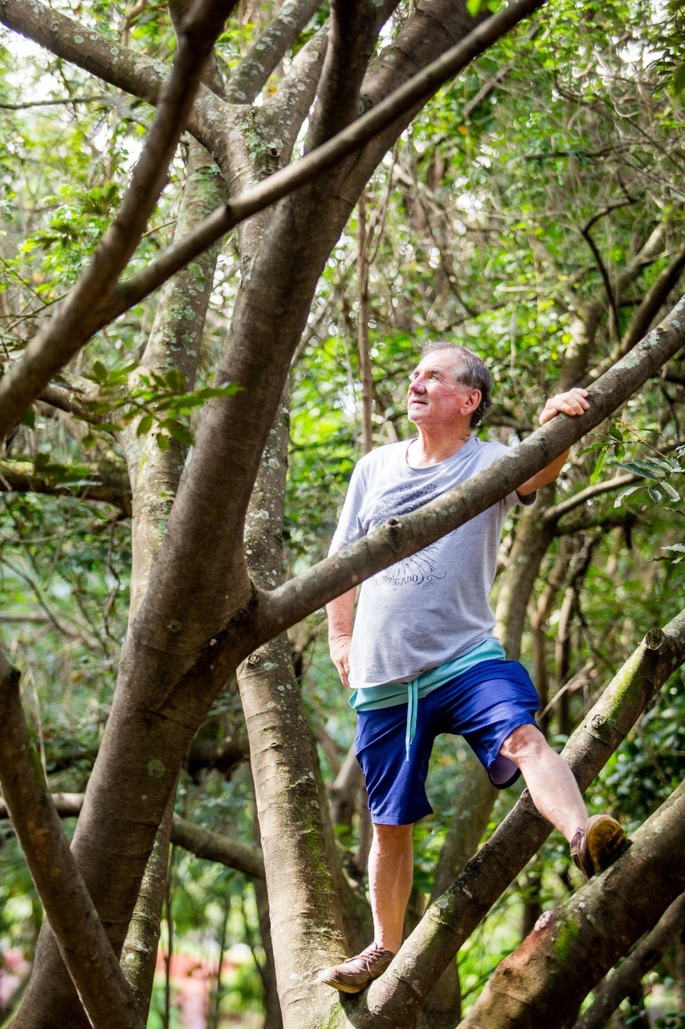 O administrador de empresas Hélio da Silva, 71, é conhecido na região como o “plantador de árvores” — Foto: Arquivo pessoal