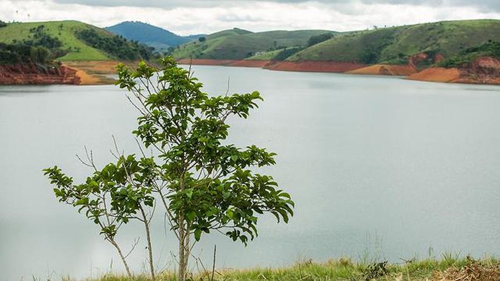 nos projetos REDD+, reflorestamento e preservação de florestas são usados para geração de créditos de carbono — Foto: Edson Lopes Jr/ A2AD / Divulgação