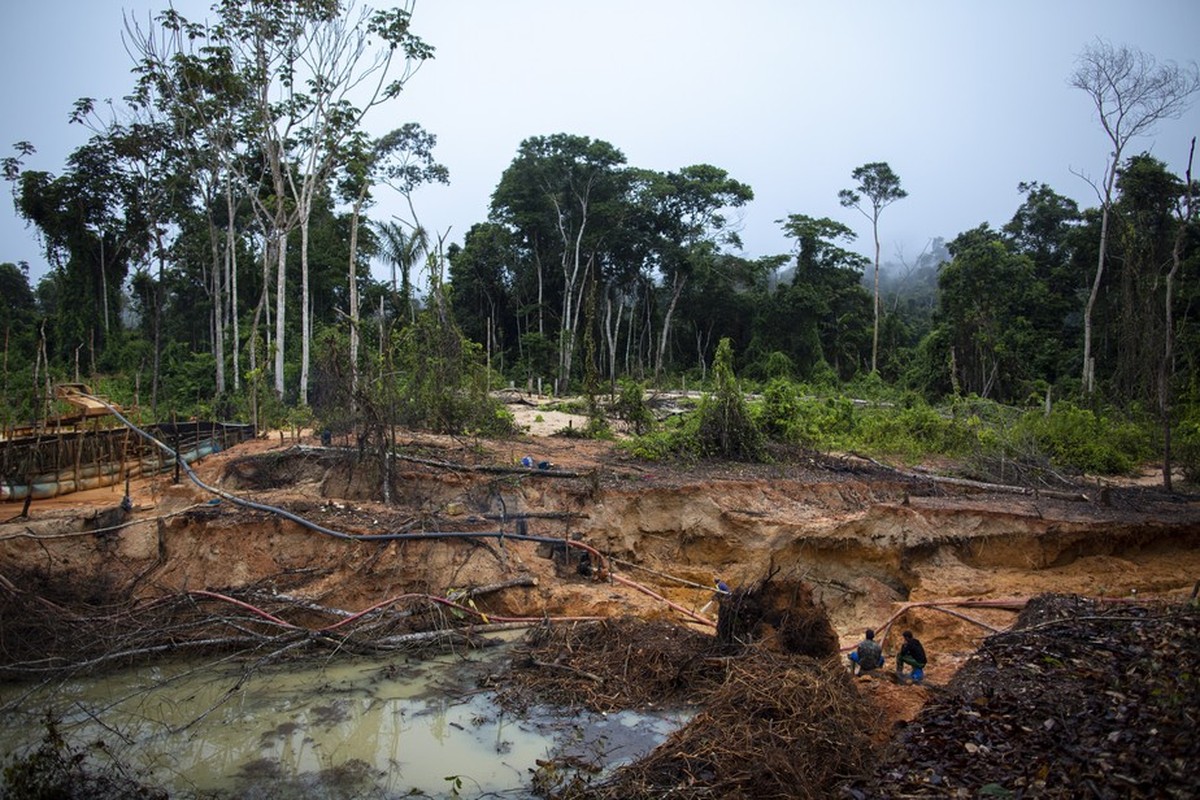 Garimpo ilegal na Amazônia dispara 44% em 2021 puxado por alta do ouro