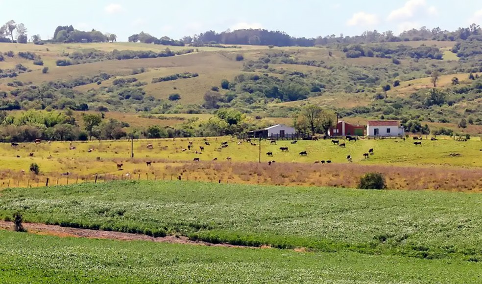 Imagem do Pampa, bioma típico do Rio Grande do Sul e que se estende por Uruguai e Argentina. — Foto: Marcos Nagelstein/MTur