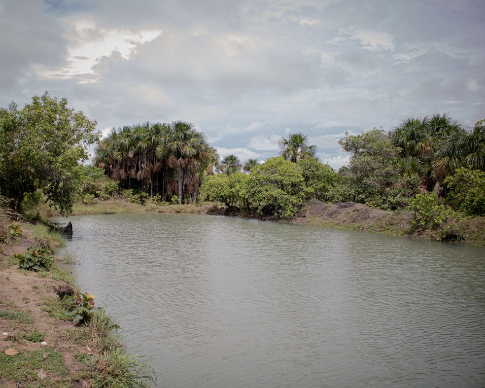 Tank where tambaquis are raised.  — Photo: Amanda Magnani