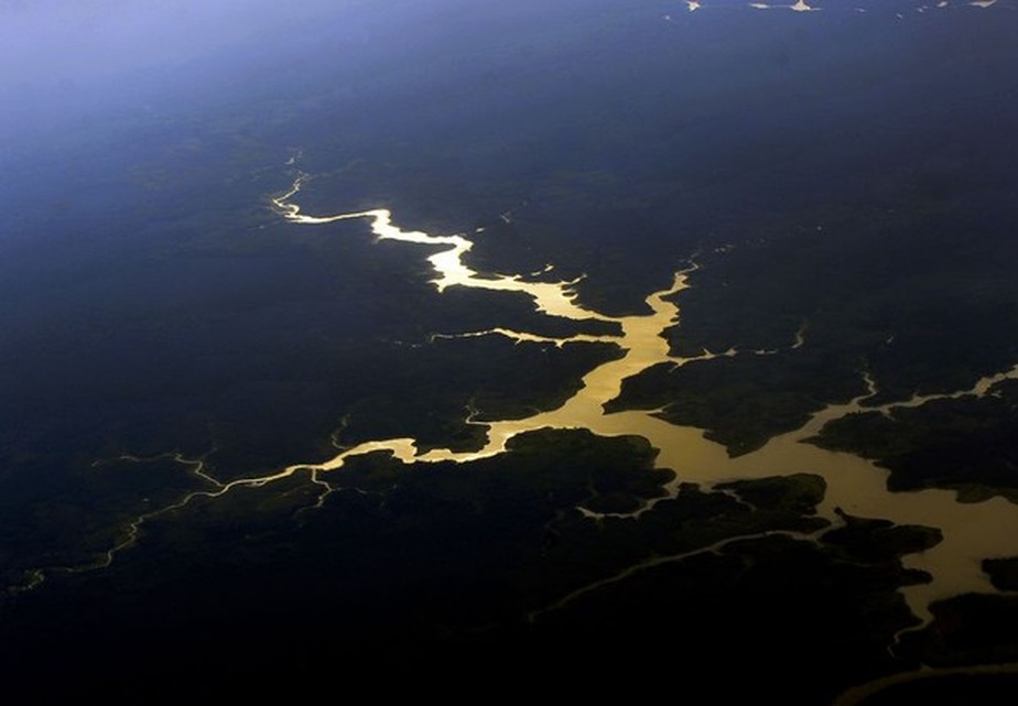 A Amazônia inspira os projetos científicos fomentados pela Emerge Brasil