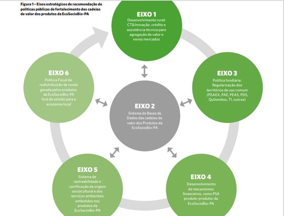 Eixos estratégicos de recomendação de  políticas públicas de fortalecimento das cadeias  de valor dos produtos da EcoSocioBio-PA — Foto: Divulgação