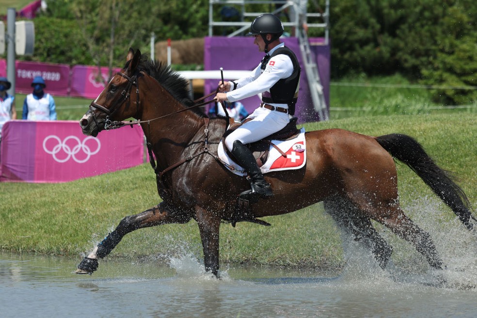 Jogos Olímpicos: cavalos sujeitos a rigorosas inspeções