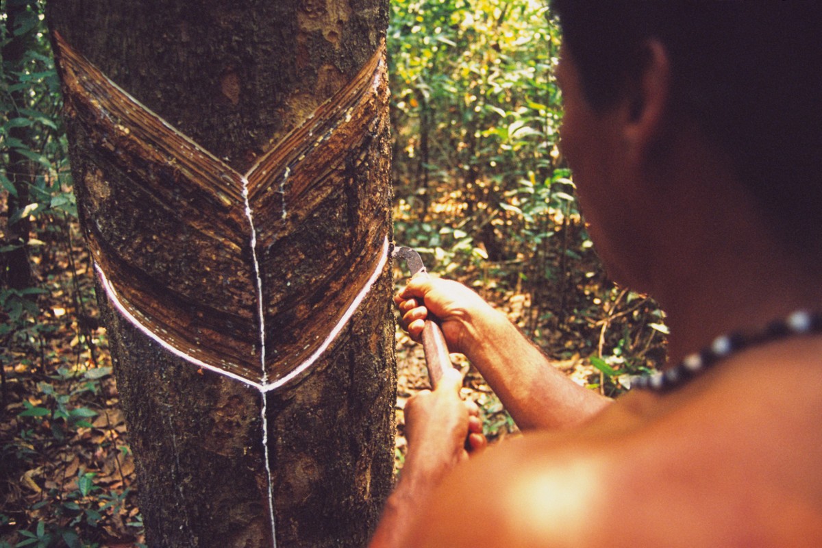 Bossapack: fabricante de mochilas de borracha da Amazônia mostra o ...