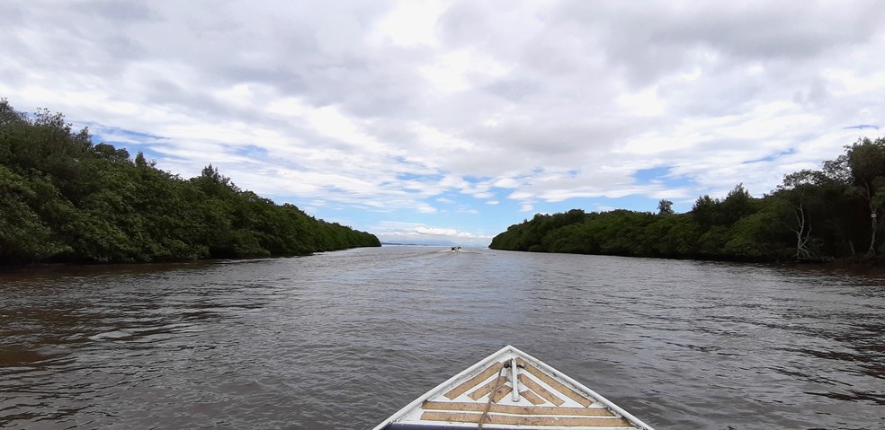 Chegada à Baía de Guanabara a partir de um dos rios preservados na APA de Guapimirim. — Foto: Sabrina Neumann