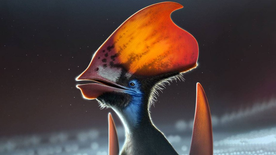Fóssil raro aponta pterossauro com semelhança a pelicano e vida no