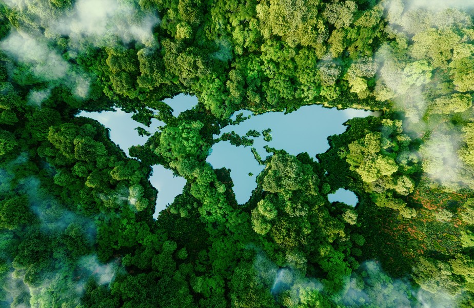 Planeta Verde; Mapa mundial