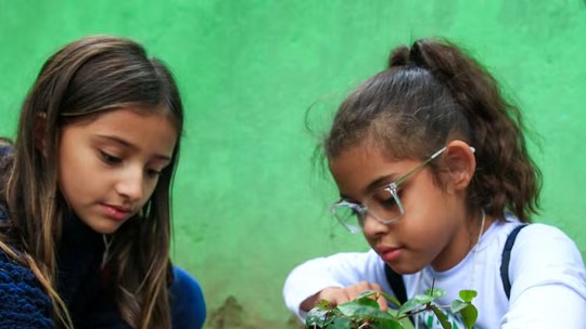 Alunos de escola do Rio plantam árvores e elaboram sugestões sobre o que querem para o futuro do planeta