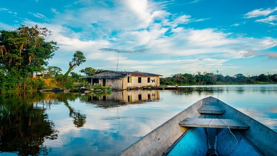 A Amazônia resiste, mas até quando? Não podemos mais só explorar, mas sim fomentar formas de coexistir com a floresta
