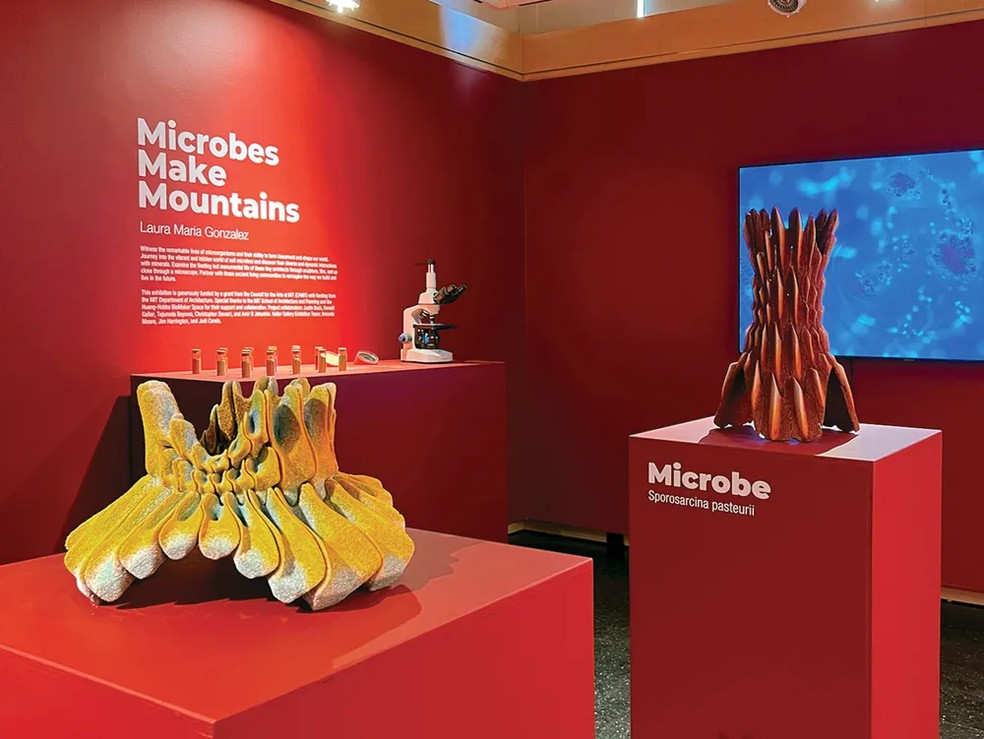 Designer cria biocimento sustentável a partir de micróbios. — Foto: Laura Maria Gonzalez