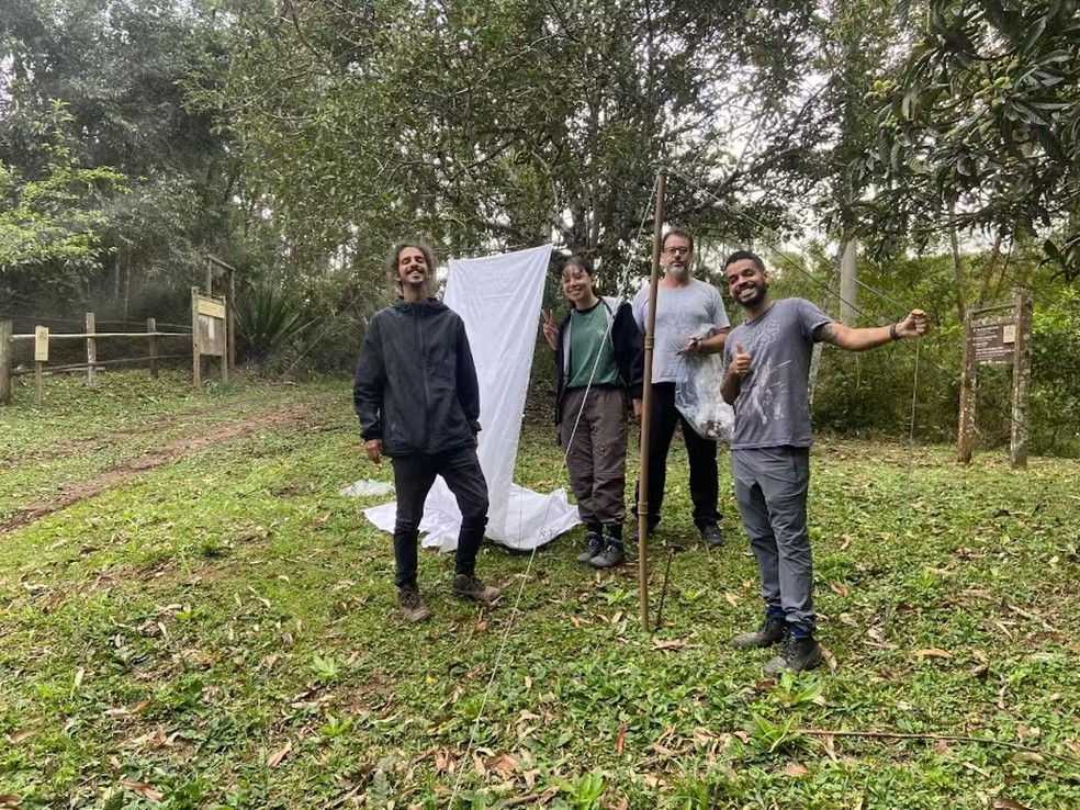 Grupo de pesquisa realizando coleta em Parque Estadual do Desengano. Da esquerda pra direita, aparecem Lucas Campello, Poliana Vilhena, José Ricardo e Gabriel Ferreira. — Foto: Divulgação