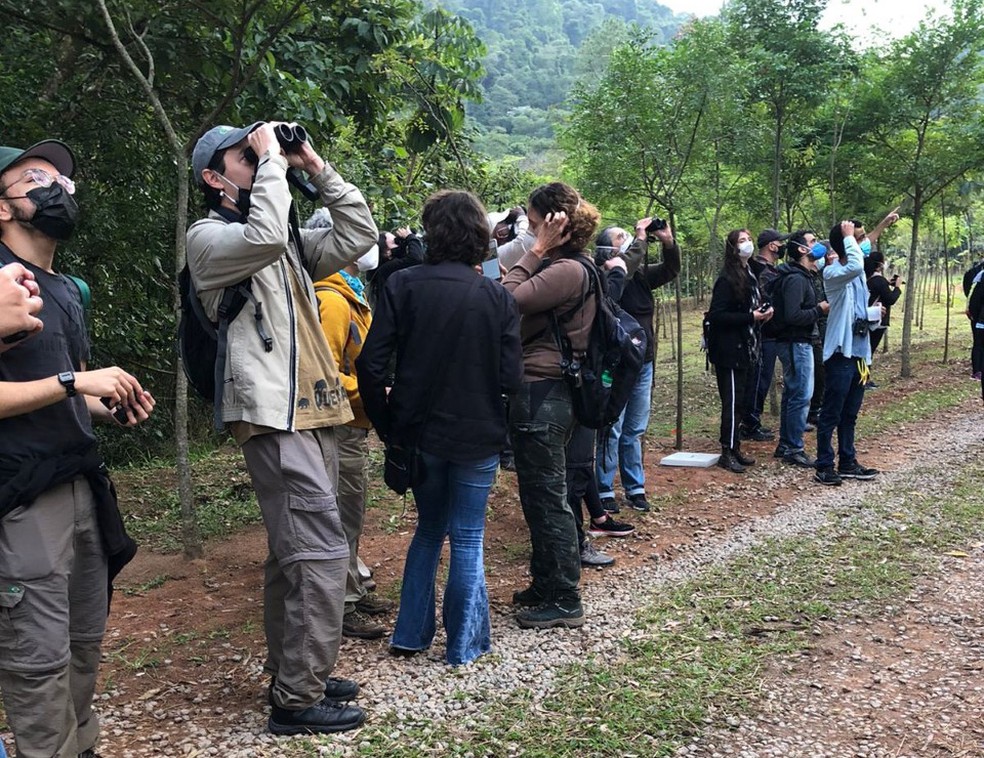 Ciência cidadã: observadores contribuem também com a geração de informação sobre a avifauna.   — Foto: SAVE Brasil