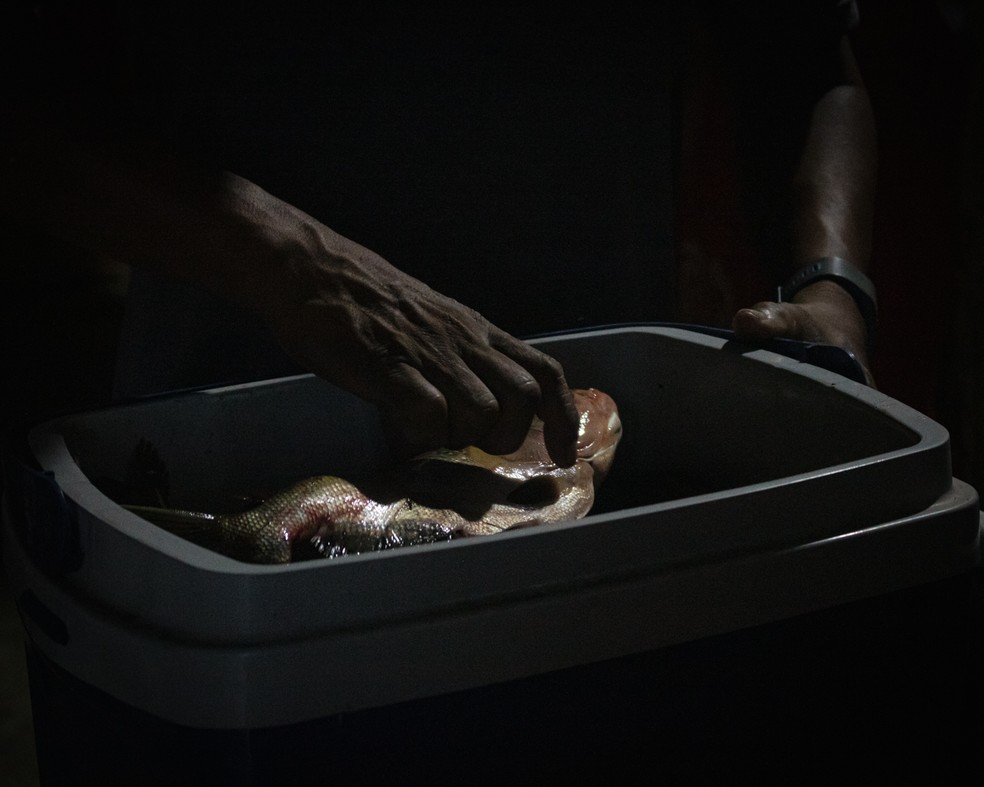 Fish caught the day before, in the ice box to stay fresh.  — Photo: Amanda Magnani