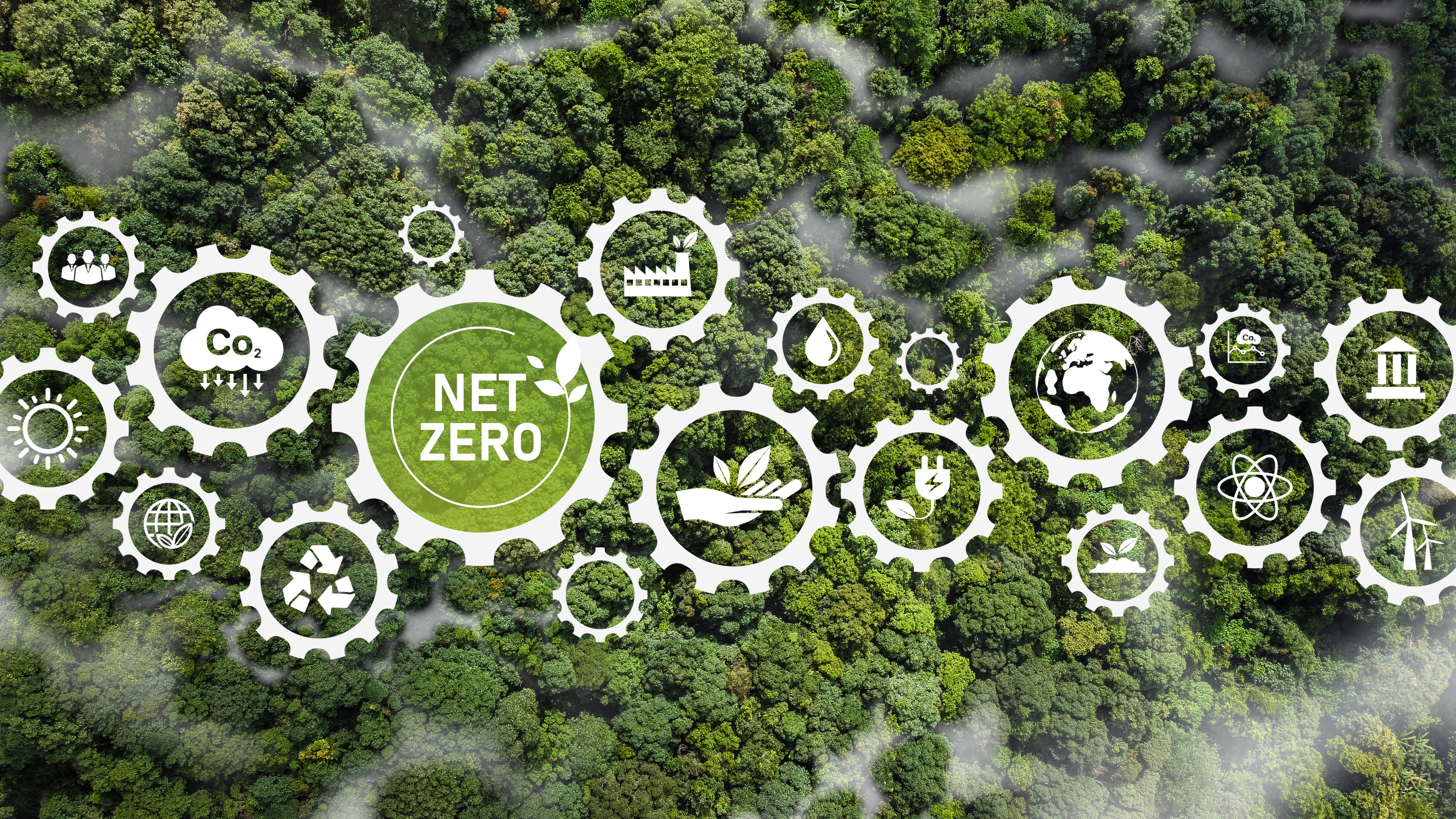 Net zero até 2050 custará menos que uma crise do petróleo, dizem ...