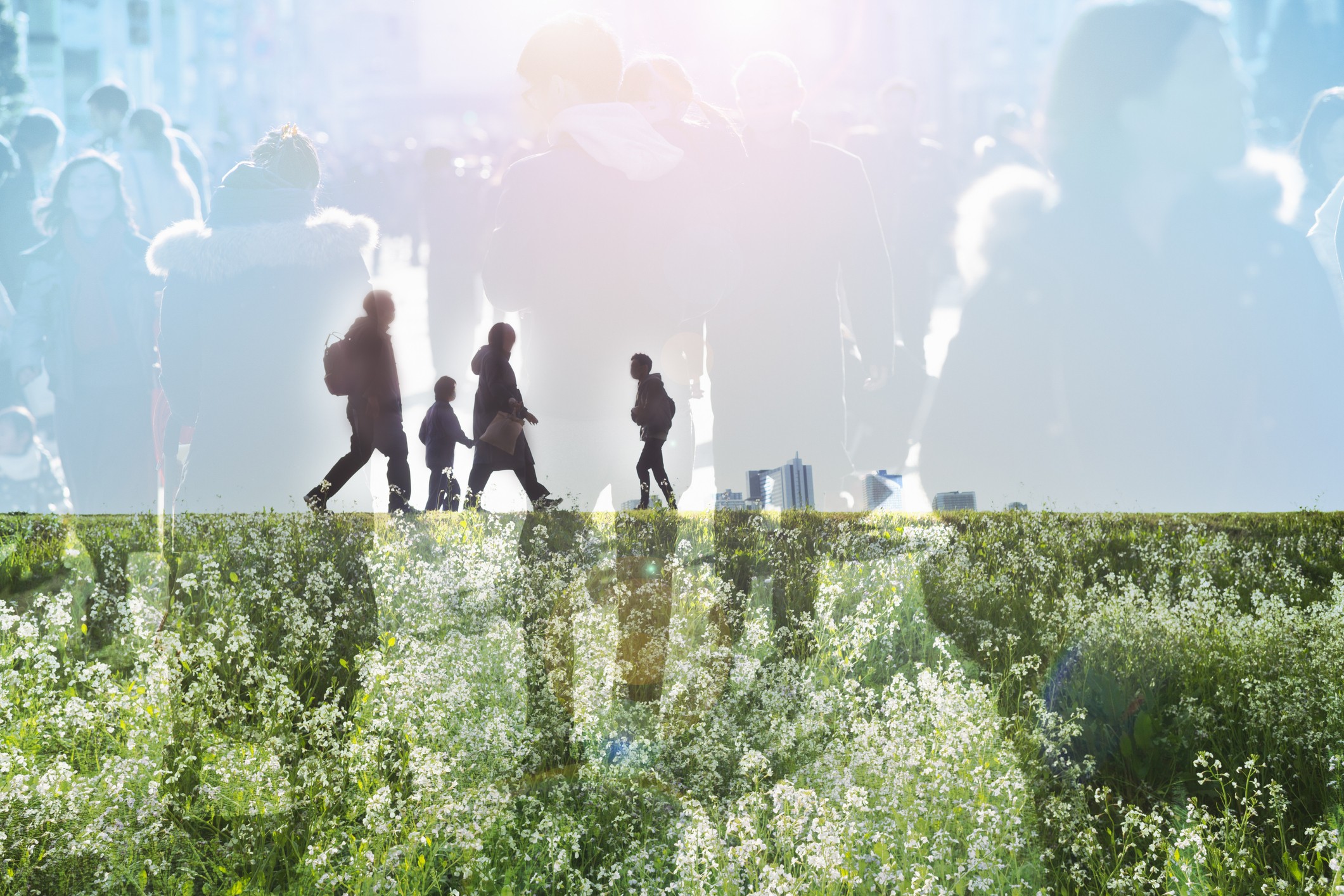 Agenda Climática: avanços e retrocessos nos últimos 5 anos