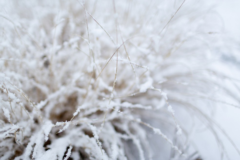Neve. — Foto:  Kevin Trimmer/ Getty Images