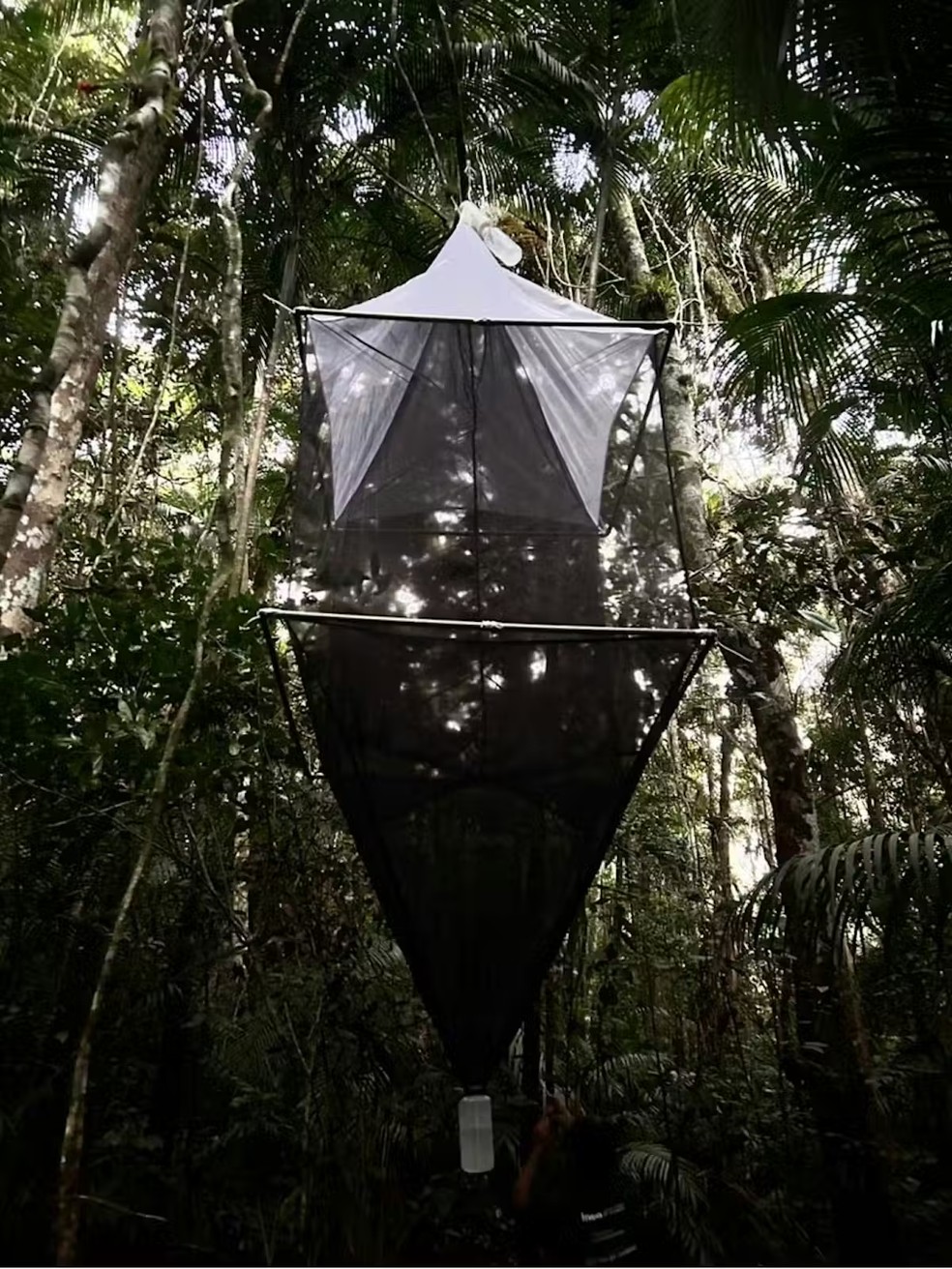 Armadilha de interceptação de vôo (Malaise) utilizada para coleta de insetos. — Foto: Divulgação