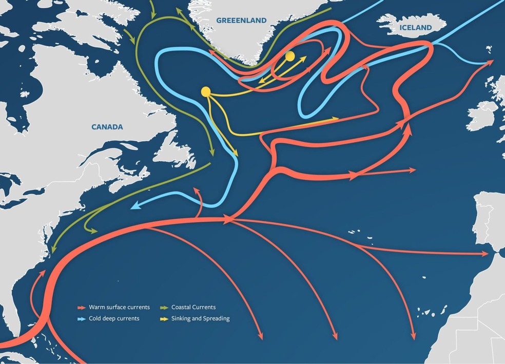 A Circulação Meridional do Atlântico (AMOC) impulsiona a água quente da superfície do oceano para regiões de alta latitude. Lá, a água encontra ventos fortes e temperaturas frias, o que a torna mais fria e densa. Essa água fria e densa afunda nas profundezas do oceano e é então transportada de volta para o sul, em profundidade, criando um circuito semelhante a uma correia transportadora. — Foto: Ilustração de Eric S. Taylor, © Woods Hole Oceanographic Institution