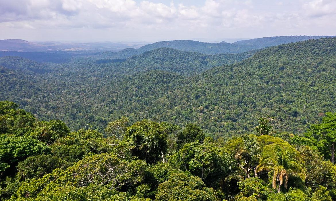 Fundo Amazônia aprova mais de R$ 2 bilhões em 2025 e amplia ações ...