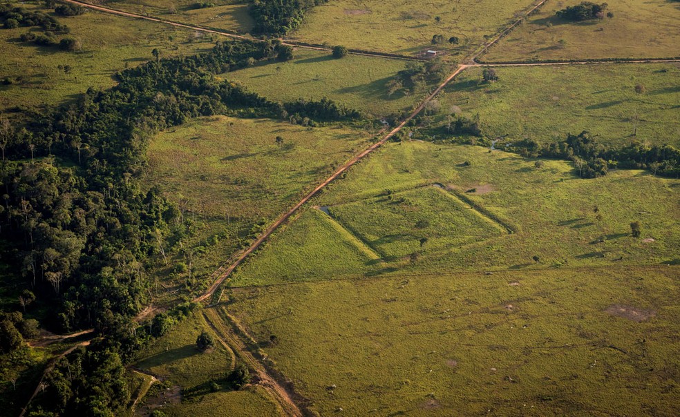 Many geometric structures are hidden under the canopy and appear when forests are cleared - Photo: Diego Lourenço Gurgul
