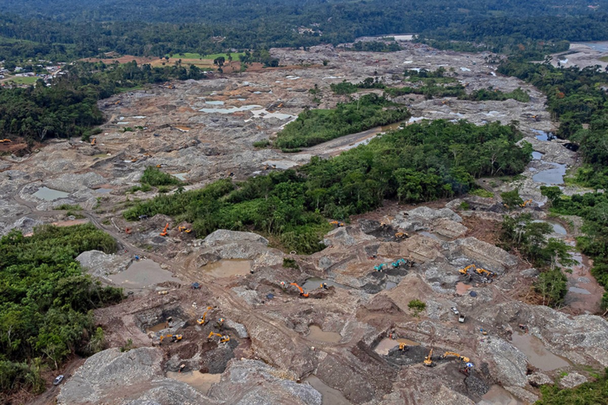 ‘Dejen el oro en la tierra’: Conozca a los guardabosques que se movilizan contra la minería ilegal en el Amazonas |  Comunidad