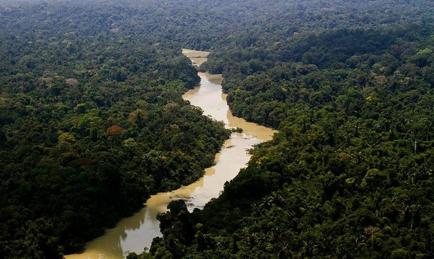 Amazônia Legal abrange 59% do território brasileiro.