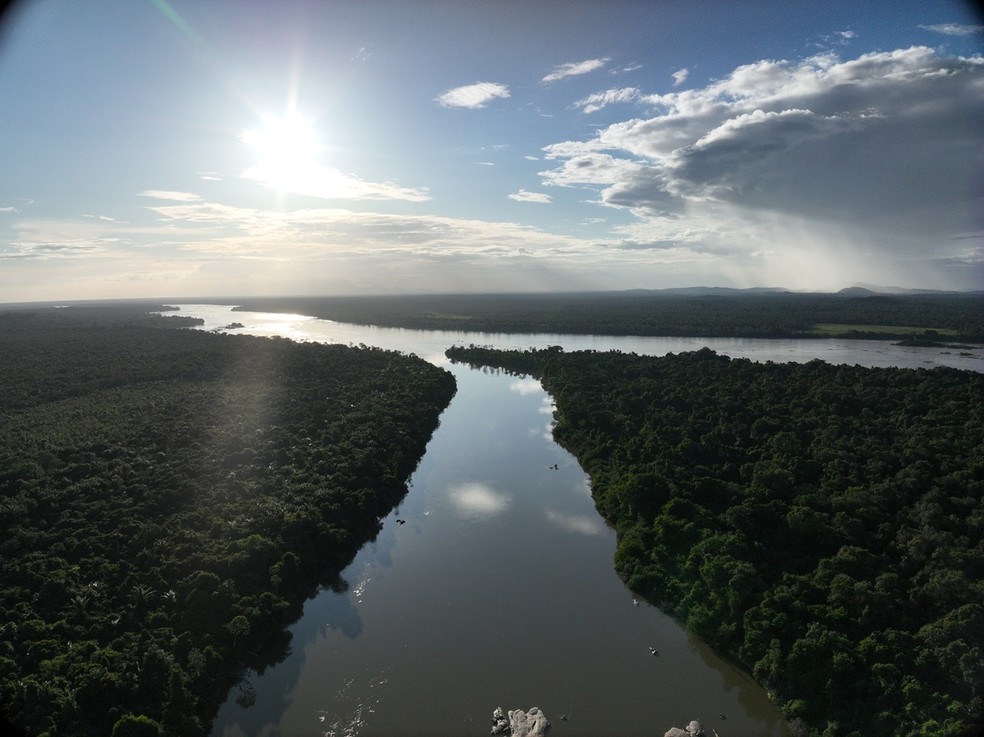 Área do projeto Vale do Rio Branco tem 14 mil hectares e está localizado no município de Caracaraí, em Roraima — Foto: Divulgação