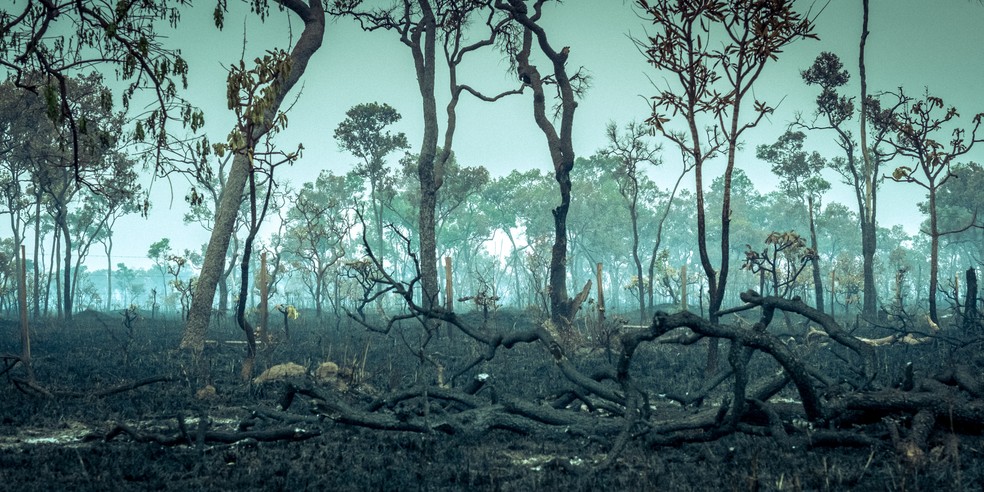 O fogo na Amazônia é uma prática que leva a consequências diretas para a saúde da população — Foto:  Alexandre Morin-Laprise/ Getty Images