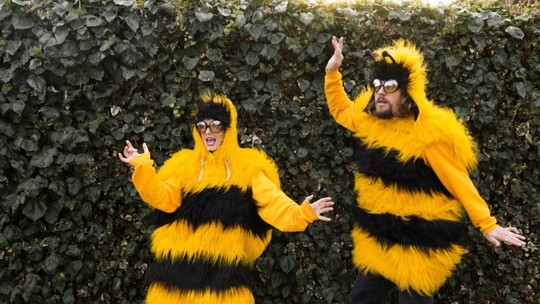 “Vejo flores em você”: casal se veste de abelha para plantar sementes de flores nativas e vem conquistando seguidores com vídeos divertidos