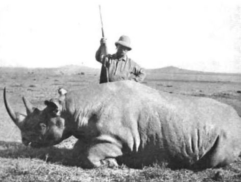 Theodore Roosevelt, ex-presidente dos EUA, está acima de um rinoceronte-negro que ele acabou de matar em 1911 — Foto: Divulgação 