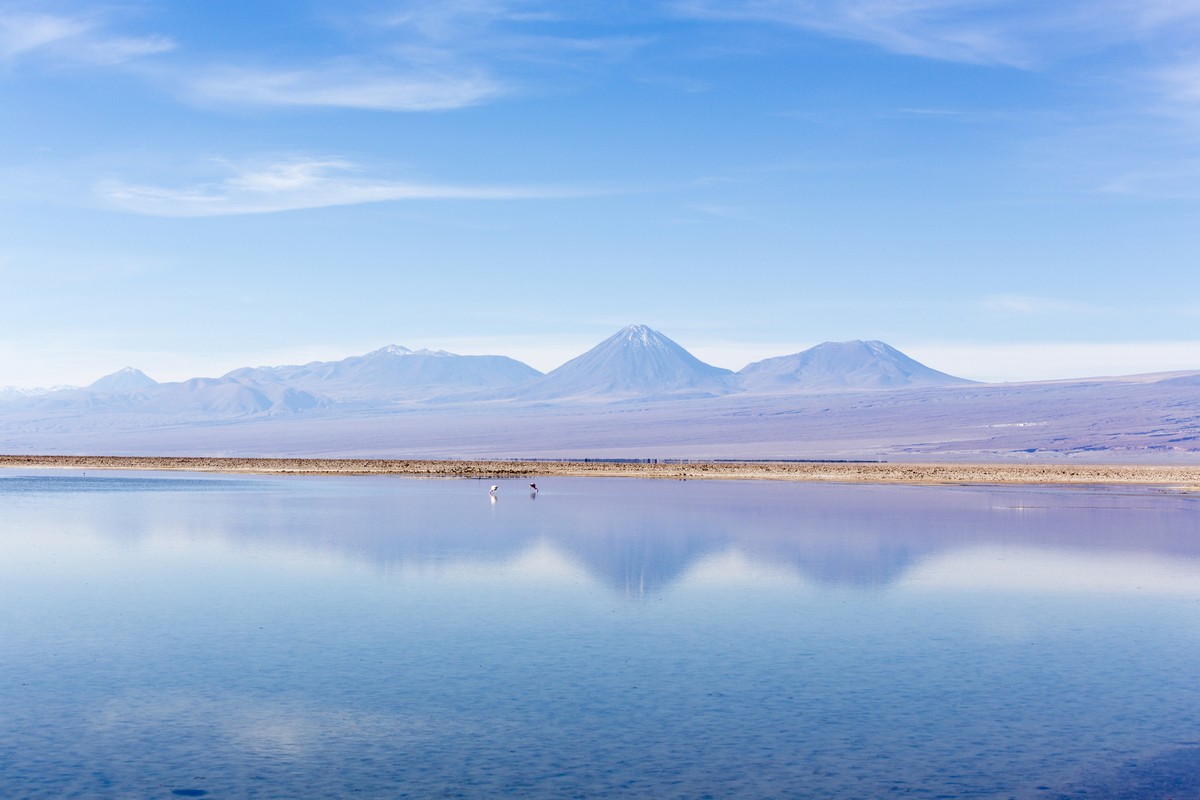 Salar do Atacama está afundando em decorrência da mineração de lítio ...