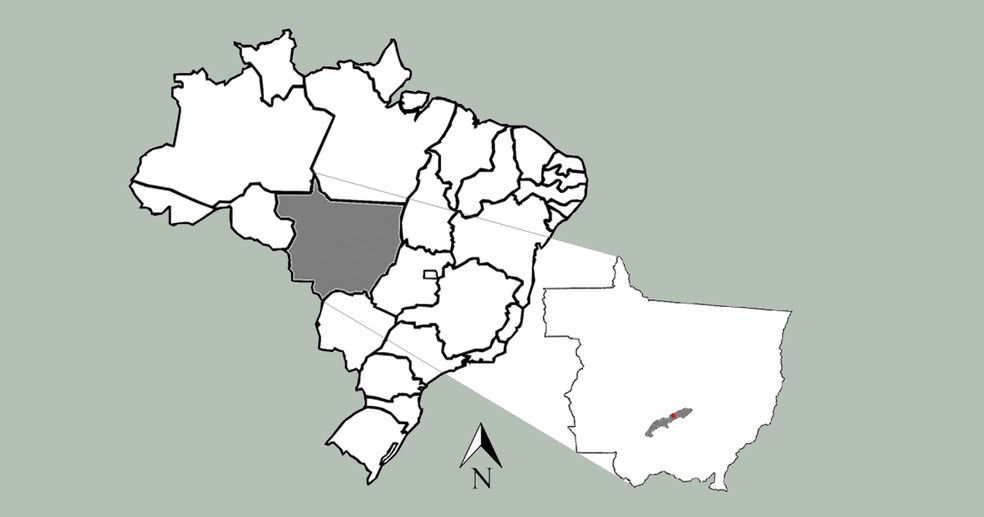Mapa destacando o Estado do Mato grosso e o município de Rosário. Em vermelho, o ponto onde se encontra a área de estudo — Foto: Imagem extraída da tese do pesquisador
