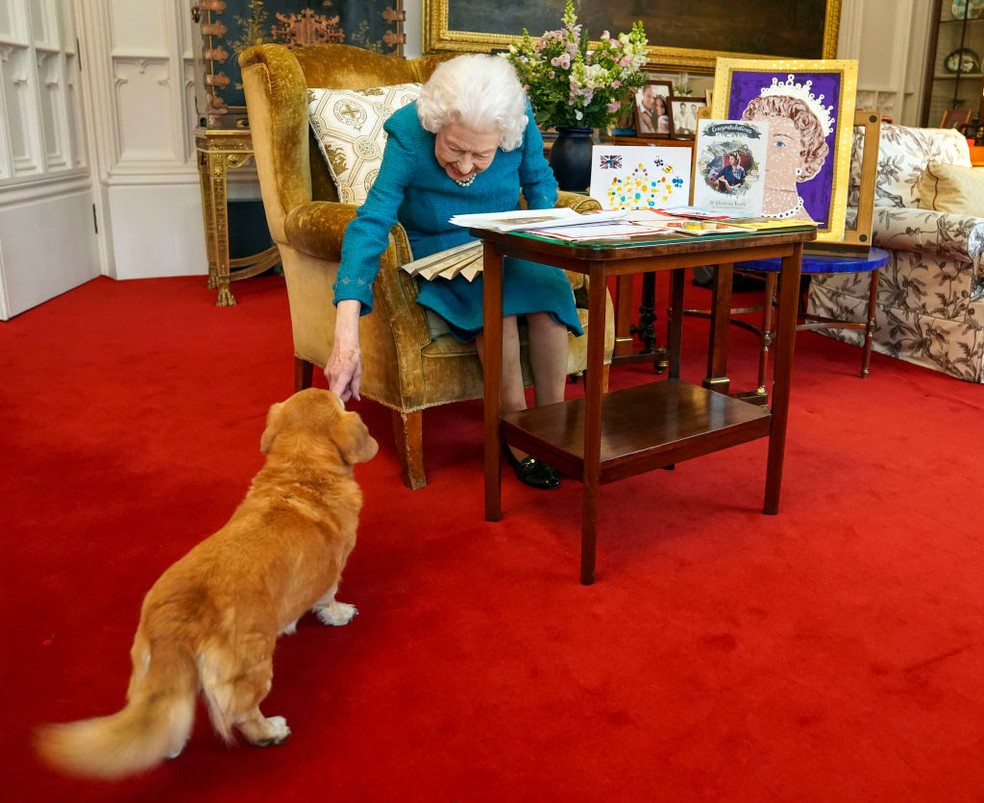 Elizabeth II e um de seus cães, um dorgi chamado Candy, enquanto ela via uma exibição de recordações de seus jubileus de ouro e platina no Castelo de Windsor em 2022  — Foto: Getty Images