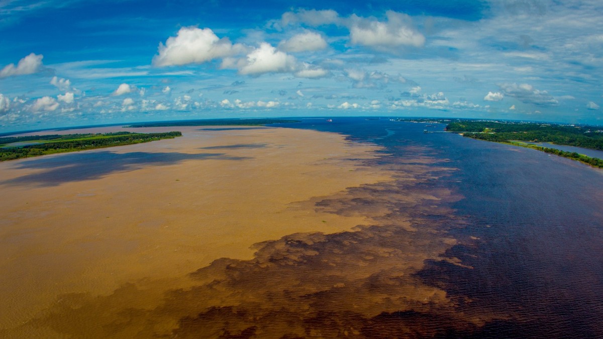 Sustainable protection of the Amazon depends on robust and ...