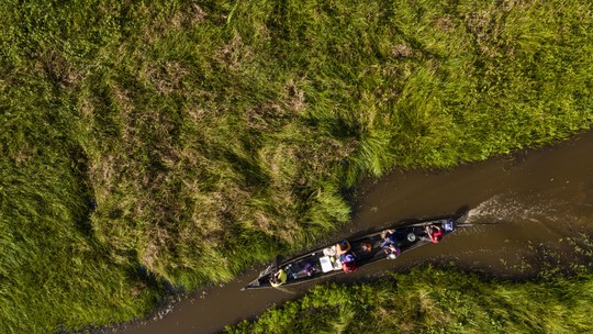 Desafios e oportunidades para a agenda de negócios socioambientais da Amazônia
