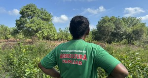 Energisa recupera 100 hectares no Pará com agroflorestas e agricultura familiar