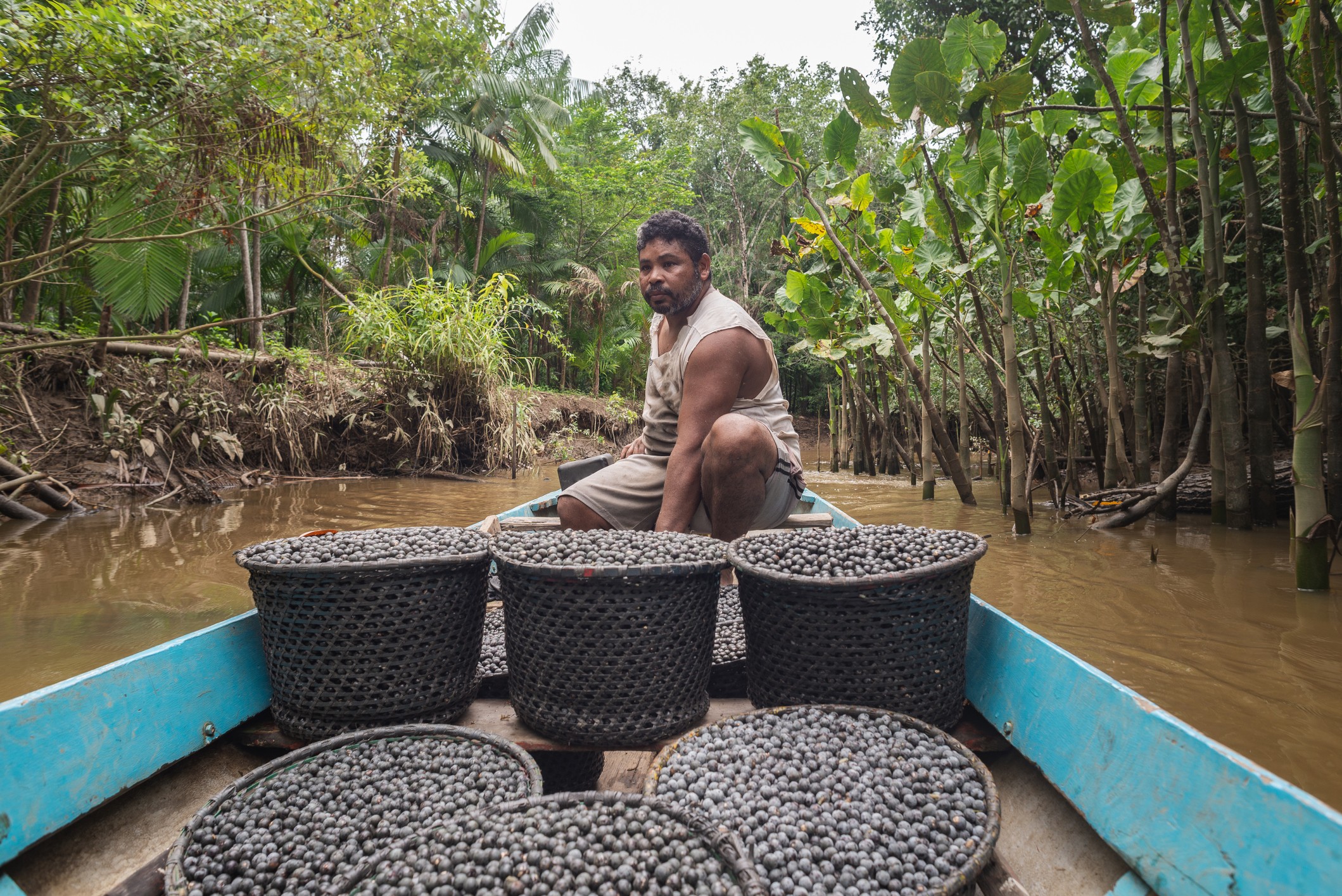 How are we shaping the future of açaí?