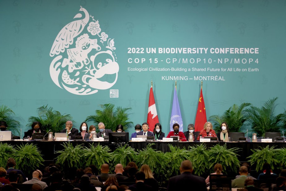 COP15: Conferência da ONU sobre Biodiversidade em Montreal, no Canadá.