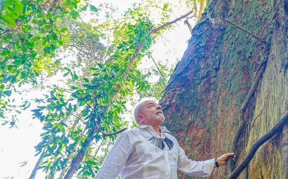 Em viagem a Manaus, Lula visita floresta Amazônica — Foto: Ricardo Stuckert