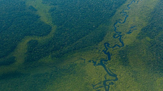 Governo do Amazonas seleciona 5 empresas para projetos de carbono