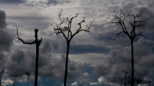Terras recuperadas no Pará seguem sem destinação — e risco de grilagem continua
